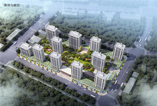 仙居县横溪镇下街城中村改造项目公寓式安置房（二期）